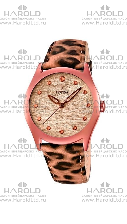 Часы Festina F16649/4