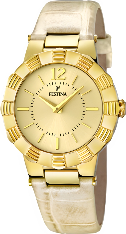Часы Festina F16735/2