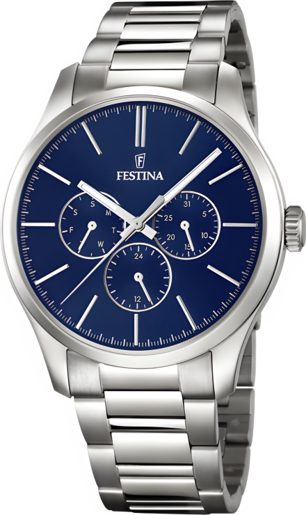 Часы Festina F16810/3