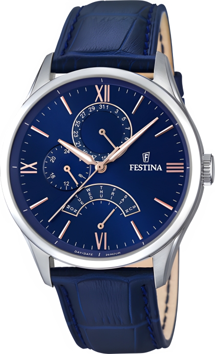 Часы Festina F16823/3