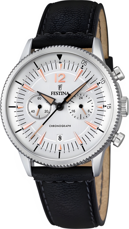 Часы Festina F16870/1