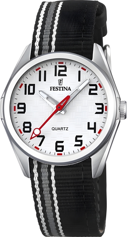 Часы Festina F16904/1