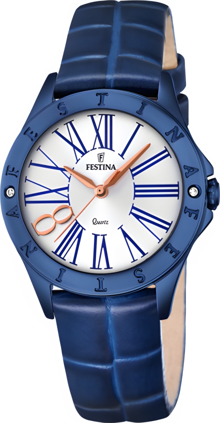 Часы Festina F16931/1