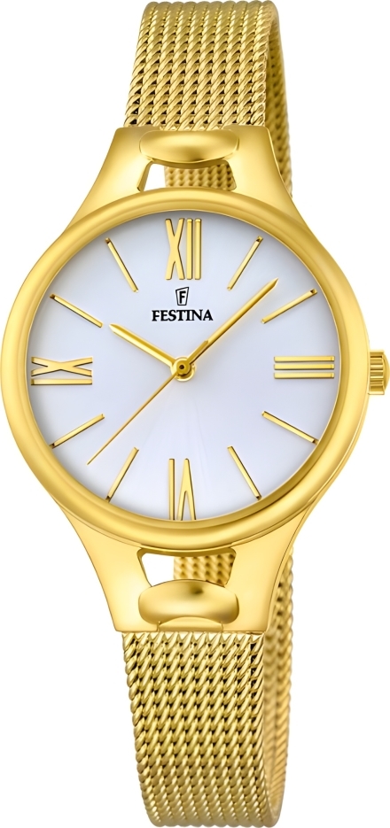 Часы Festina F16951/1