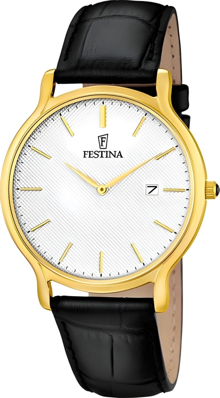 Часы Festina F6829/1