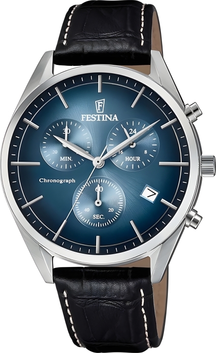 Часы Festina F6860/3
